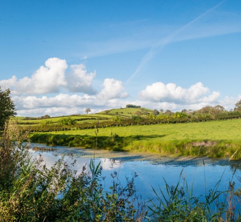 British Landscape