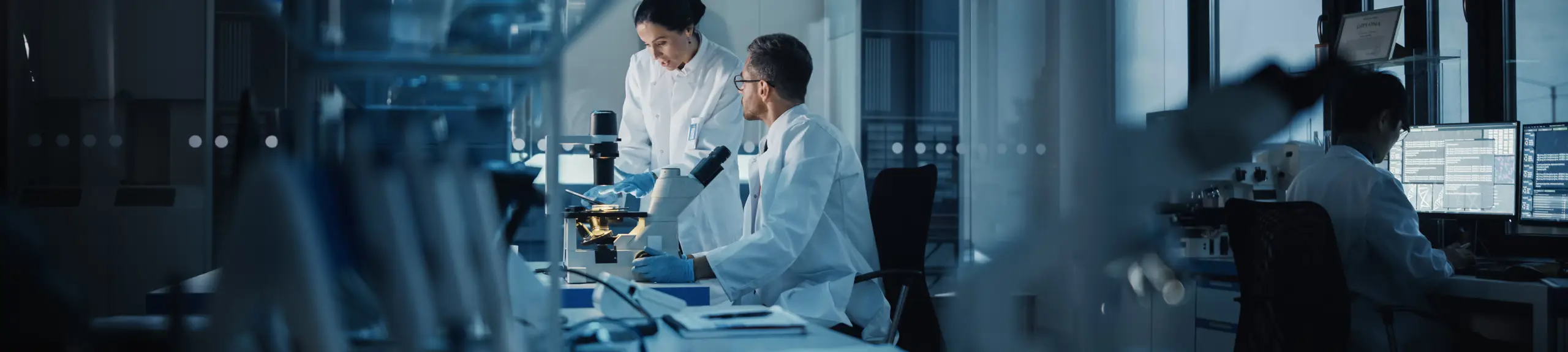 People working in the laboratory People working in the laboratory