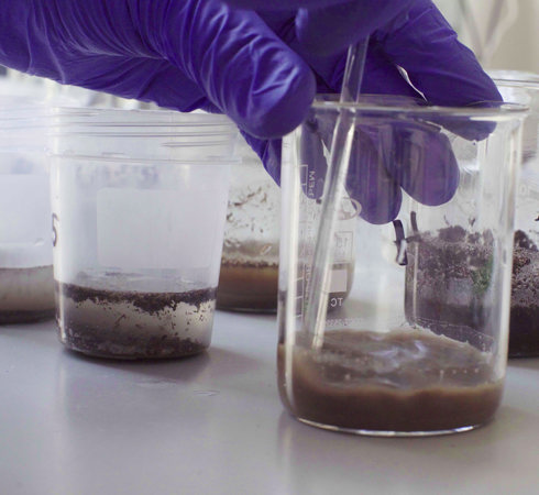 Soil testing in the lab