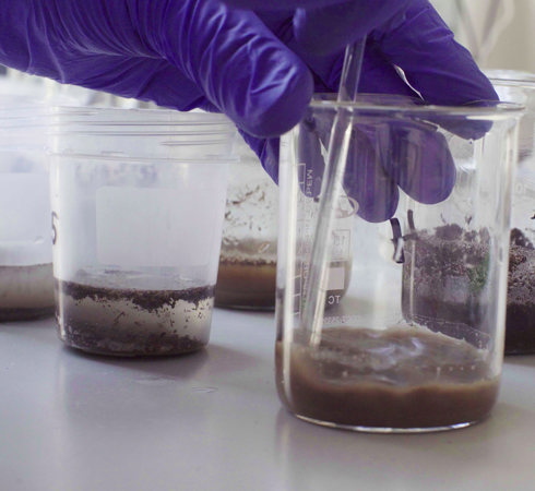 Soil testing in the lab Soil testing in the lab