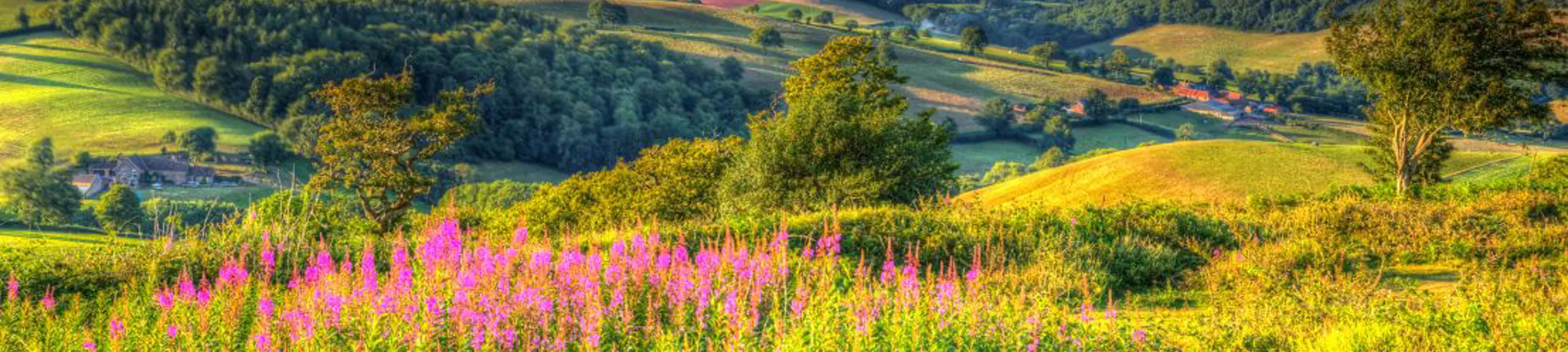 British Countryside British Countryside