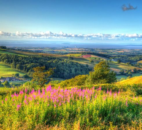 British Countryside