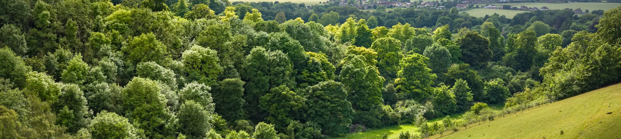 British landscape British landscape