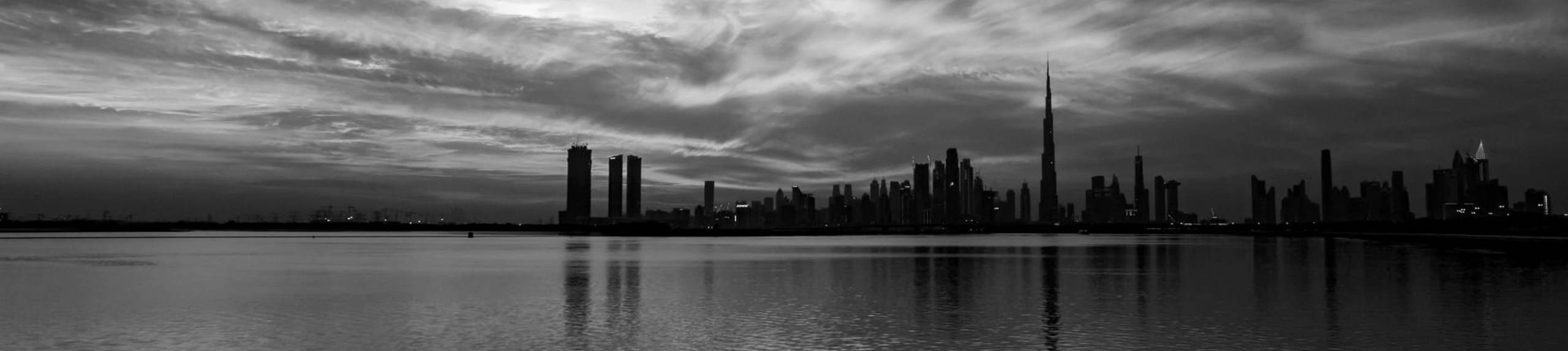 Black and White City View