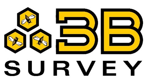 3B Survey Logo