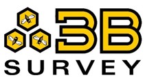 3B Survey Logo